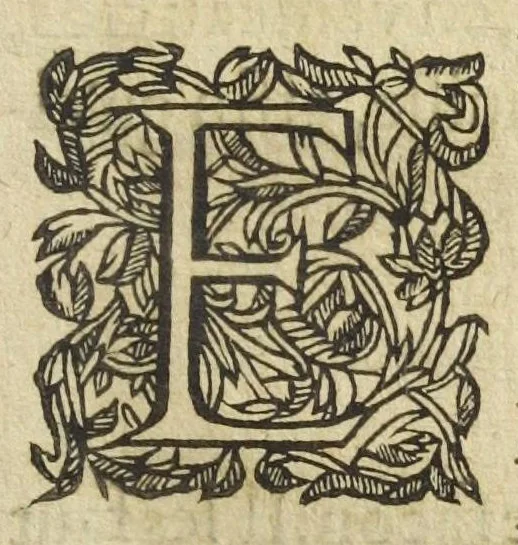 An illustration from Les XIV. livres des Paragraphes de Ph. Théoph. Paracelse Bombast, Allemand; tres grand & tres-excellent Philosophe, & tres-celebre Docteur en la Medecine, prince des medecins hermetiques & spagiriques. Où sont contenus en Epitome ses secrets admirables, tant physiques que chirurgiques, pour la curation tres-certaine & methodique des maladies estimées incurables; A sçavoir la lèpre, l'épilepsie, hydropisie, paralisie, phtisie, asthme, dissenterie, gonorrhées, accidents de matrice, fièvres, & autres. Plus un abrégé des préparations chimiques de tous simples, végétaux, animaux & métalliques; trouvé escript de la main de Paracelse, avec le moyen asseuré de les administrer en toutes maladies. Un autre discours excellent de l'alchimie, du mesme autheur, contre les erreurs & abus de la mMedecine humorale & Galenique, contenant des choses tres-rares & utilles. Traduicts du latin en françois, avec explications et annotations tres-amples. Par C. de Sarcilly, Escuyer, sieur de Montgautier, Cauville, Culey, Canon, &c. tres-expert en la doctrine Paracelsique. Oeuvres non encor veus, & tres-necessaires à tous Medecins, Chirurgiens, Apothiquaires, & à tous gens curieux de leur santé., 1631, leaf 195