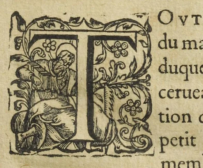 An illustration from Les XIV. livres des Paragraphes de Ph. Théoph. Paracelse Bombast, Allemand; tres grand & tres-excellent Philosophe, & tres-celebre Docteur en la Medecine, prince des medecins hermetiques & spagiriques. Où sont contenus en Epitome ses secrets admirables, tant physiques que chirurgiques, pour la curation tres-certaine & methodique des maladies estimées incurables; A sçavoir la lèpre, l'épilepsie, hydropisie, paralisie, phtisie, asthme, dissenterie, gonorrhées, accidents de matrice, fièvres, & autres. Plus un abrégé des préparations chimiques de tous simples, végétaux, animaux & métalliques; trouvé escript de la main de Paracelse, avec le moyen asseuré de les administrer en toutes maladies. Un autre discours excellent de l'alchimie, du mesme autheur, contre les erreurs & abus de la mMedecine humorale & Galenique, contenant des choses tres-rares & utilles. Traduicts du latin en françois, avec explications et annotations tres-amples. Par C. de Sarcilly, Escuyer, sieur de Montgautier, Cauville, Culey, Canon, &c. tres-expert en la doctrine Paracelsique. Oeuvres non encor veus, & tres-necessaires à tous Medecins, Chirurgiens, Apothiquaires, & à tous gens curieux de leur santé., 1631, leaf 81