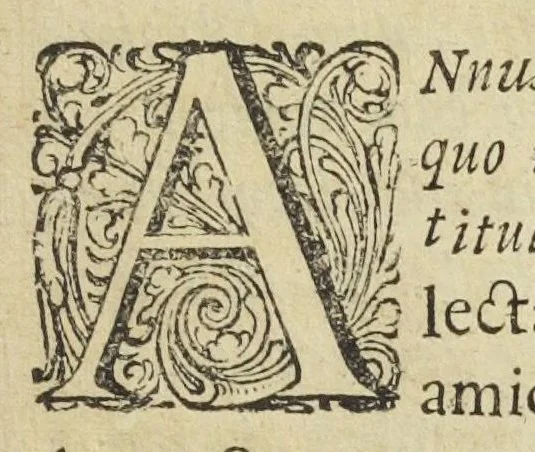 An illustration from Collectanea chymica Leydensia, id est, Maëtsiana, Margraviana, Le Mortiana, scilicet trium in Academia Lugduno-Batavâ facultatis Chymicæ, quâ publicè, quâ privatim, Professorum, nunc viventium, atque docentium, qui isthæc discipulis suis, ex omni Europa illo confluentibus, per bos annos , non solum ostenderunt, verum etiam suis verbis dictarunt. Opus, quingentis, & ampliùs, processibus adornatum, omnibus & medicis, & chimicis, & pharmacopæis, imprimis utile ; cum ob insignem plerorumque usitiorum procesiuum varietatem, tum ob novam, atque elegantem in singulis operandi rationem, tribus his, tantisque viris, in usu habitam. Collegit, digessit, edidit,Christophorus Love Morley, M.D. Anglus., 1684, leaf 7