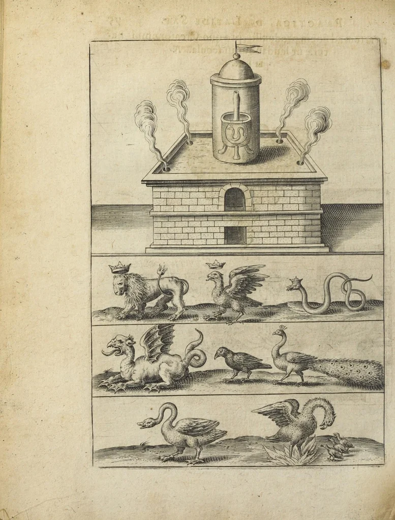 An illustration from Tripus aureus, hoc est, Tres tractatus chymici selectissimi, nempe I. Basilii Valentini, ordinis monachi, Germani, Practica una cum 12. clavibus & appendice, ex Germanico ; II. Thomæ Nortoni, angli philosophi Crede mihi seu ordinale ante annos 140. ab authore scriptum, nunc ex Anglicano manuscripto in Latinum translatum, phrasi cujusque authoris ut & sententia retenta ; nunc ex Anglicano manuscripto in Latinum translatum, phrasi cujusque authoris ut & sententia retenta; III. Cremeri cujusdam abbatis Westmonasterienses Angli Testamentum, hactenus nondum publicatum, nunc in diversarum nationum gratiam editi, & figuris cupro assabre incisis ornati operâ & studio Michaelis Maieri Phil. & Med. D. Com. P. &c, 1618, leaf 80