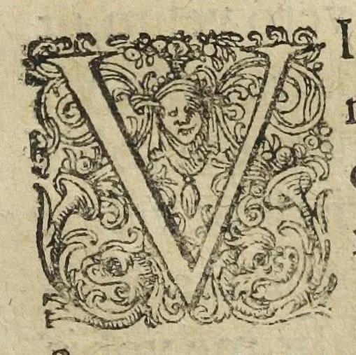 An illustration from Lusus Serius, quo Hermes sive Mercurius Rex mundanorum omnium sub homine existentium, post longam disceptationem in Concilio Octovirali habitam, homine rationali arbitro, judicatus & constitutus est. Authore Michaele Majero Com. Pal. Med. D., 1619, leaf 3