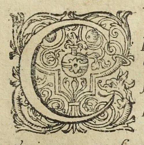 An illustration from Lusus Serius, quo Hermes sive Mercurius Rex mundanorum omnium sub homine existentium, post longam disceptationem in Concilio Octovirali habitam, homine rationali arbitro, judicatus & constitutus est. Authore Michaele Majero Com. Pal. Med. D., 1619, leaf 7