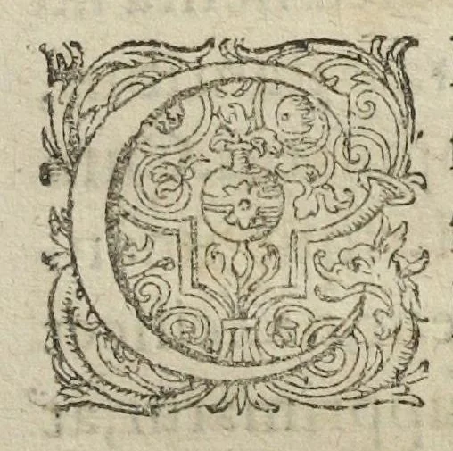 An illustration from De circulo physico, quadrato : hoc est, Auro, ejusque virtute medicinali, sub duro cortice instar nuclei latente; an & qualis inde petenda sit, tractatus haud inutilis : authore Michaele Majero Com. P. Med. D. Equ. exem. &c, 1616, leaf 3