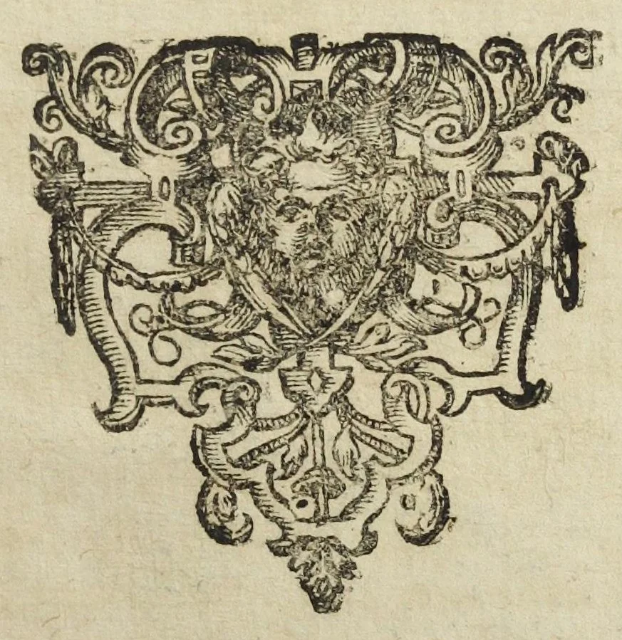 An illustration from De circulo physico, quadrato : hoc est, Auro, ejusque virtute medicinali, sub duro cortice instar nuclei latente; an & qualis inde petenda sit, tractatus haud inutilis : authore Michaele Majero Com. P. Med. D. Equ. exem. &c, 1616, leaf 79