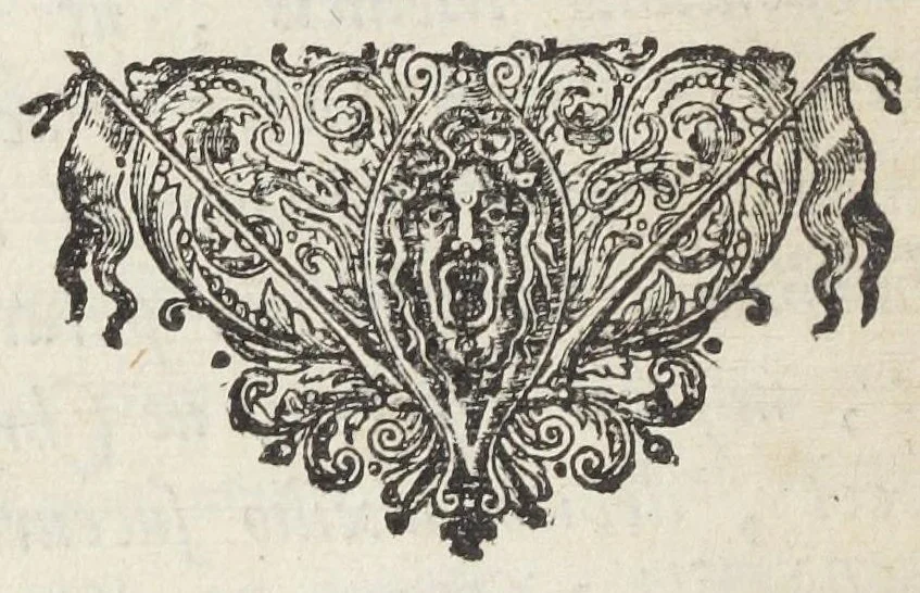 An illustration from Miraculi mundi continuatio, in qua tota natura denudatur, & toti mundo nudè ob oculos ponitur ; imòdilucidè & apertè demonstratur, fieri posse, ut exsale petræ omnium vegetabilium, animalium & mineralium summa medicina paretur, ac ideò sal petræ jure ac meritò verum subjectum solvens, sive menstruum universale (rumpantur ilia omnibus farnerianis asinis) appellari quest. Miracula divina manifestandi, & hermeticæ medicinæ studiosos docendi gratia conscripta, & in lucem edita studio & opera. Johan Rud. Glauberi., 1658, leaf 10