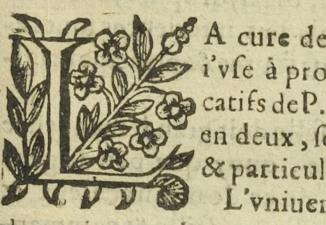 An illustration from La royale chymie de Crollius. Traduitte en françois par J. Marcel de Boulene., 1633, leaf 229