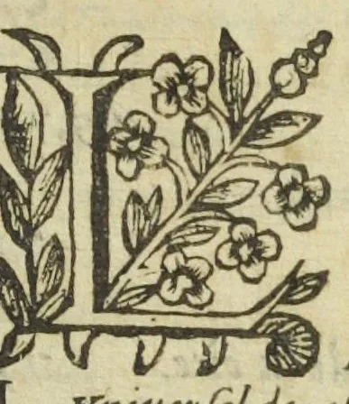 An illustration from La royale chymie de Crollius. Traduitte en françois par J. Marcel de Boulene., 1633, leaf 439