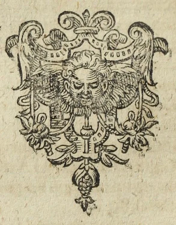 An illustration from D. O M. A. Tetras chymiatrica, proponens præstantiam et in medicina efficaciam, auri, mercurii, antimonii, & vitrioli, & medicamentorum ex illis paratorum : opposita misochymis eadem sat frivole calumniantibus, ab Arnoldo Kernero Lipsensi med. D. Phylochymiatro., 1618, leaf 154