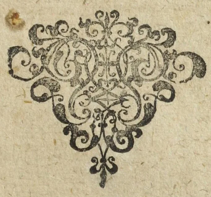 An illustration from D. O M. A. Tetras chymiatrica, proponens præstantiam et in medicina efficaciam, auri, mercurii, antimonii, & vitrioli, & medicamentorum ex illis paratorum : opposita misochymis eadem sat frivole calumniantibus, ab Arnoldo Kernero Lipsensi med. D. Phylochymiatro., 1618, leaf 289