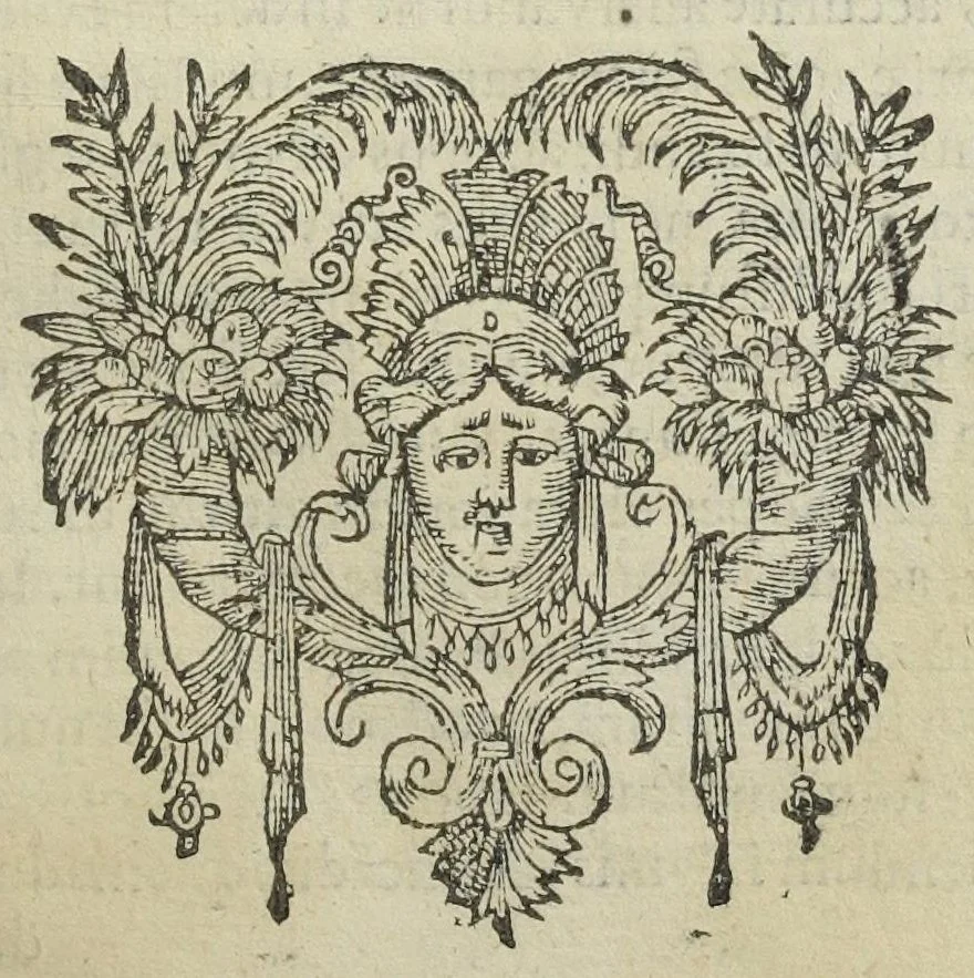 An illustration from Magistri Joannis Isaaci Hollandi, viri in philosophia, potissimùm verò in chymia celeberrimi, opera mineralia sive de lapide philosphico, omnia, duobus libris comprehensa. Nunquam antehac edita, ac nunc primùm ex optimis manu-scriptis Teutonicis exemplaribus fidelissimè in Latinum sermonem in latinum translata, à P. M. G., 1600, leaf 245