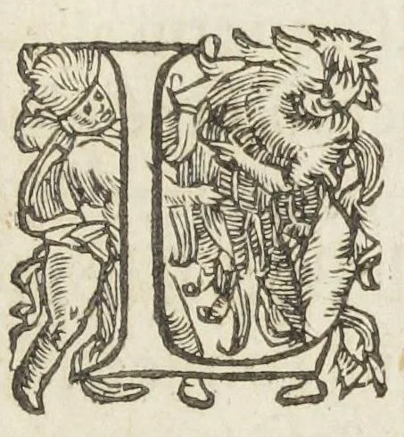 An illustration from Les Secrets descouverts des arts, tant de pharmatie que de celuy de distiller, vulgairement nommé alchemie ou spargirie: par le moyen desquels l'on parvient à la perfection; tant par Theoricque que practique, à rendre l'Or potable, succinctement déduicts en forme de Dialogue ..., 1613, leaf 9