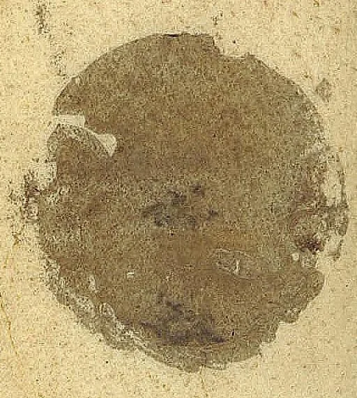 An illustration from Petri Morelli Methodus præscribendi formulas remediorum. Cum adjuncto materiæ medicæ systemate. Aucta, variisque modis illustrata à Gerardo Blasio, medicinæ doctore ac practico Amsterlodamensi., 1659, leaf 0
