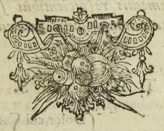 An illustration from Petri Morelli Methodus præscribendi formulas remediorum. Cum adjuncto materiæ medicæ systemate. Aucta, variisque modis illustrata à Gerardo Blasio, medicinæ doctore ac practico Amsterlodamensi., 1659, leaf 561