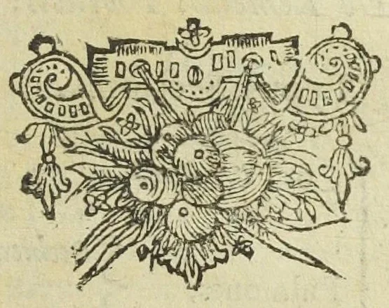 An illustration from Petri Morelli Methodus præscribendi formulas remediorum. Cum adjuncto materiæ medicæ systemate. Aucta, variisque modis illustrata à Gerardo Blasio, medicinæ doctore ac practico Amsterlodamensi., 1659, leaf 603