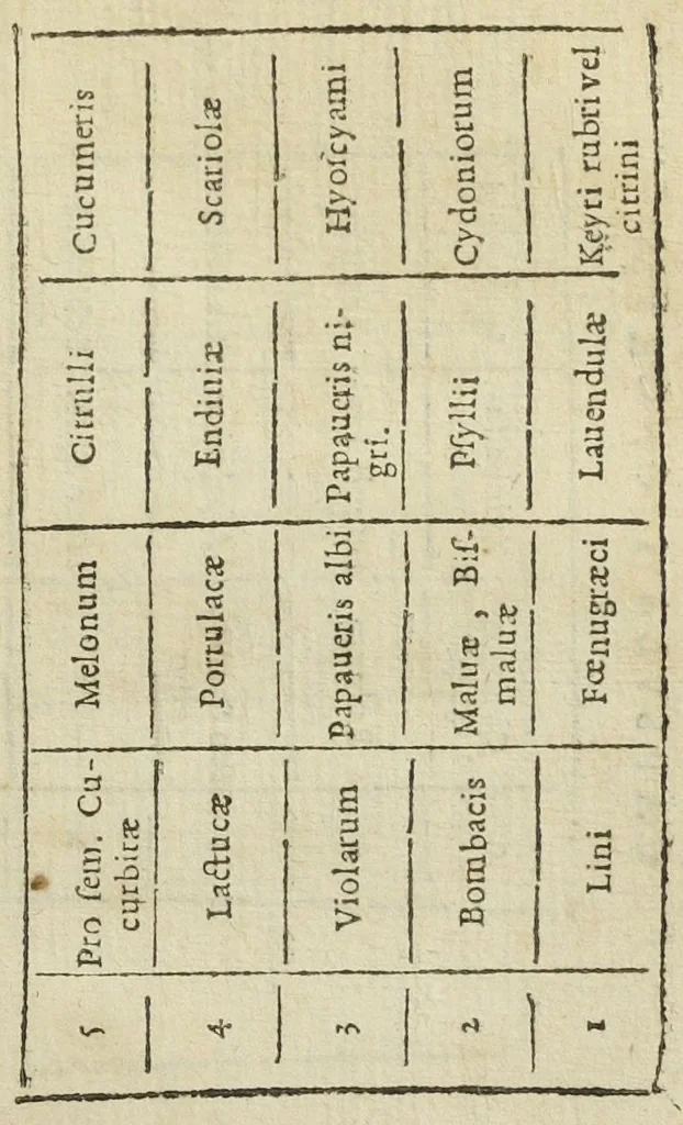 An illustration from Valerii Cordi Dispensatorium, sive pharmacorum conficiendorum ratio; cum Petri Coudenbergii, & Matthiæ Lobelii scholiis emendationibus, & auctariis. Accessit hac editione, præter Guilielmi Rondeletii de Theriaca tractatum, emendatiorem; & formulas selectiorum pharmacorum, quorum post Val. Cordum usus passim receptus est, auctiores ; alius Fr. Dissaldei ejusdem argumenti libellus., 1627, leaf 503