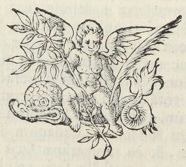An illustration from Joannis Du Boys pharmacopoei Parisiensis Methodus miscendi & conficiendi medicamenta diligenter recognita, & à multis, quibus antea scatebat mendis, repurgata. Novae huic editioni accessit Hispalensium pharmacopoliorum recognitio, auctore D. Simone è Tovar Hispalensi medico., 1640, leaf 164