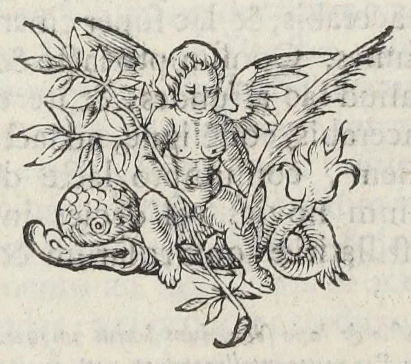 An illustration from Joannis Du Boys pharmacopoei Parisiensis Methodus miscendi & conficiendi medicamenta diligenter recognita, & à multis, quibus antea scatebat mendis, repurgata. Novae huic editioni accessit Hispalensium pharmacopoliorum recognitio, auctore D. Simone è Tovar Hispalensi medico., 1640, leaf 294