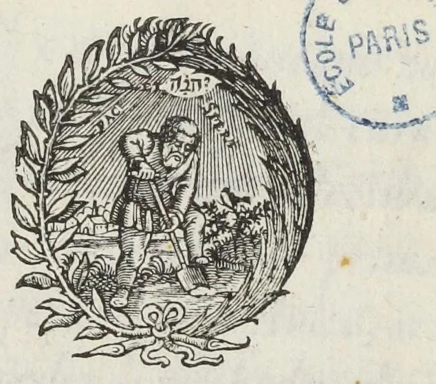 An illustration from Joannis Du Boys pharmacopoei Parisiensis Methodus miscendi & conficiendi medicamenta diligenter recognita, & à multis, quibus antea scatebat mendis, repurgata. Novae huic editioni accessit Hispalensium pharmacopoliorum recognitio, auctore D. Simone è Tovar Hispalensi medico., 1640, leaf 431