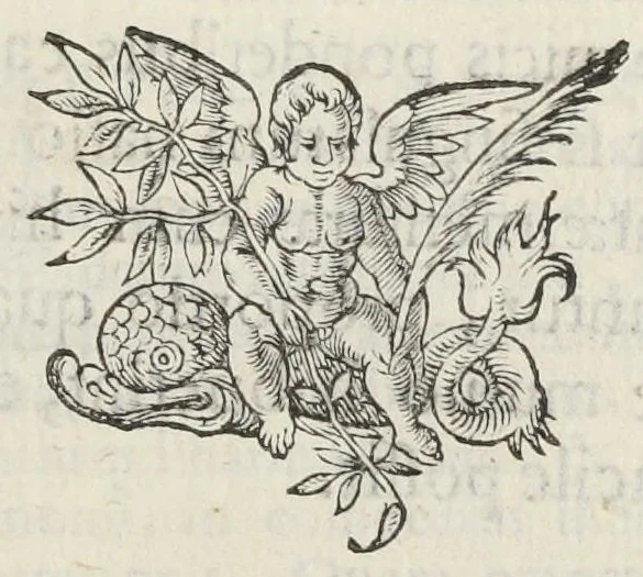 An illustration from Joannis Du Boys pharmacopoei Parisiensis Methodus miscendi & conficiendi medicamenta diligenter recognita, & à multis, quibus antea scatebat mendis, repurgata. Novae huic editioni accessit Hispalensium pharmacopoliorum recognitio, auctore D. Simone è Tovar Hispalensi medico., 1640, leaf 483
