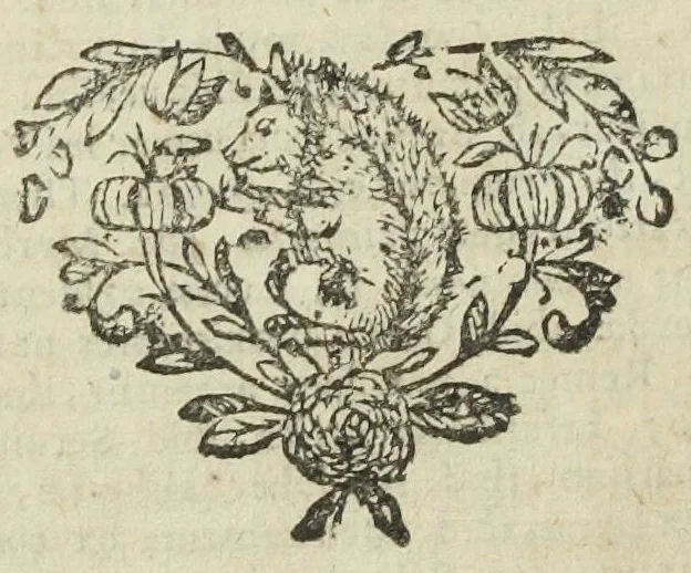 An illustration from Pharmaceutice rationalis, sive Diatriba de medicamentorum operationibus in humano corpore, authore Thoma Willis, M. D. In Univ. Oxon. Prof. Sedleiano, nec non coll. med. Lond. & Societ. Reg. socio. Editio postrema, prioribus emendatior., 1675, leaf 52