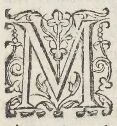 An illustration from Petri Morelli Gallo campani, medici regii, Formulæ remediorum. Studio & operâ Jo. Jacob. à Brunn, phil. & med. D. pract. med. in Acad. Basil. professoris ordinarii. Cujus accedit Systema materiæ medicæ. Indicibus huic postrema ed. additis, 1650, leaf 14