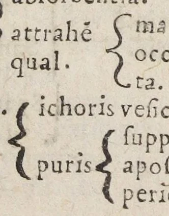 An illustration from Petri Morelli Gallo campani, medici regii, Formulæ remediorum. Studio & operâ Jo. Jacob. à Brunn, phil. & med. D. pract. med. in Acad. Basil. professoris ordinarii. Cujus accedit Systema materiæ medicæ. Indicibus huic postrema ed. additis, 1650, leaf 587