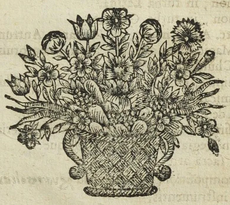 An illustration from Bibliotheca chimica. Seu catalogus librorum philosophicorum hermeticorum. In quo quatuor millia circiter, authorum chimicorum, vel de transmutatione metallorum, re minerali, & arcanis, tam manuscriptorum, quam in lucem editorum, cum eorum editionibus, usque ad annum 1653. continentur. Cum ejusdem bibliothecæ appendice, & corollario authore Petro Borellio Castrensi, Medico Doctore,, 1654, leaf 251