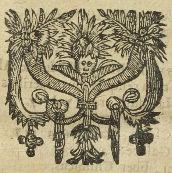 An illustration from Bibliotheca chimica. Seu catalogus librorum philosophicorum hermeticorum. In quo quatuor millia circiter, authorum chimicorum, vel de transmutatione metallorum, re minerali, & arcanis, tam manuscriptorum, quam in lucem editorum, cum eorum editionibus, usque ad annum 1653. continentur. Cum ejusdem bibliothecæ appendice, & corollario authore Petro Borellio Castrensi, Medico Doctore,, 1654, leaf 276