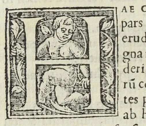 An illustration from Pharmacopoeae, Jacobi Sylvii medici libri tres, his, qui artem medicam, & pharmacopoea[m] tractant exercentque, maximè necessarii., 1548, leaf 112