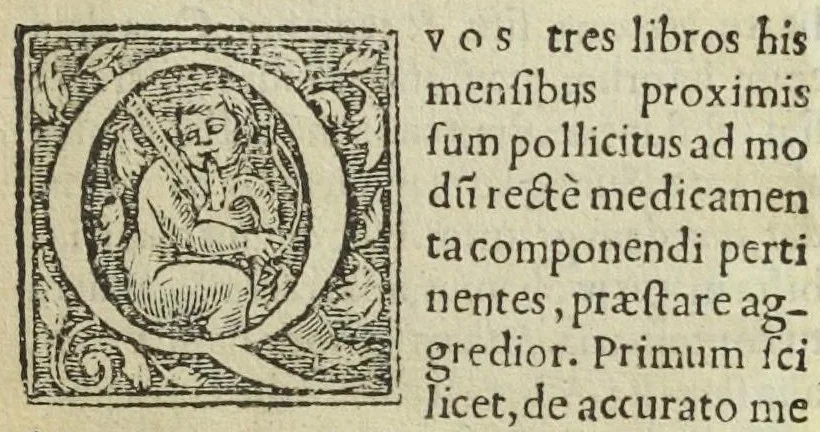 An illustration from Pharmacopoeae, Jacobi Sylvii medici libri tres, his, qui artem medicam, & pharmacopoea[m] tractant exercentque, maximè necessarii., 1548, leaf 13