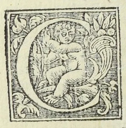 An illustration from Pharmacopoeae, Jacobi Sylvii medici libri tres, his, qui artem medicam, & pharmacopoea[m] tractant exercentque, maximè necessarii., 1548, leaf 296