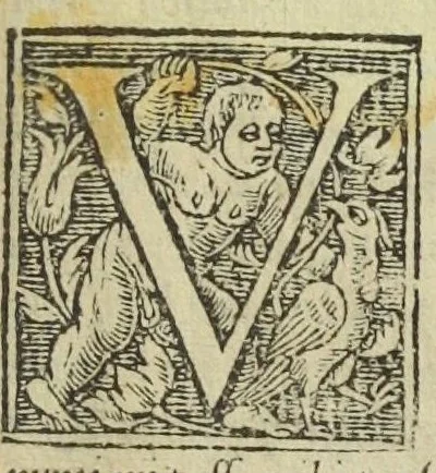 An illustration from Pharmacopoeae, Jacobi Sylvii medici libri tres, his, qui artem medicam, & pharmacopoea[m] tractant exercentque, maximè necessarii., 1548, leaf 5