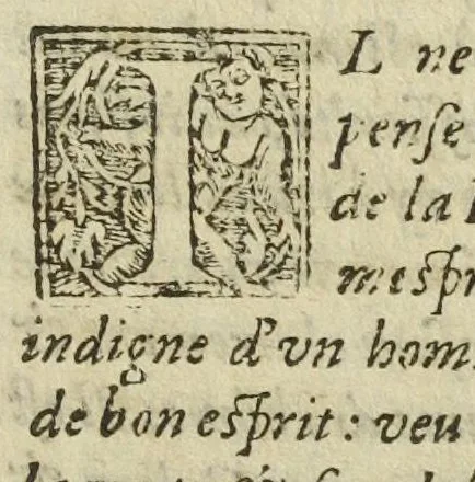 An illustration from La pharmacopee qui est la maniere de bien choisir & preparer les simples, & de bien faire les compositions : despartie en trois livres par Jaques Silvius medecin de Paris. Faite françoise par André Caille docteur medecin., 1580, leaf 199