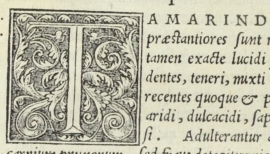 An illustration from Apparatus et delectus simplicium medicamentorum. De compositione medicamentorum secundum genera, ex Paulo Aegineta. De compositione medicamentorum secundum genera universalis methodus, ex Galeno. Omnia nunc primùm ædita, cùm medicis, tum pharmacopolis omnib. apprimè necessaria, auctore Conrado Gessnero Tigurino., 1542, leaf 125