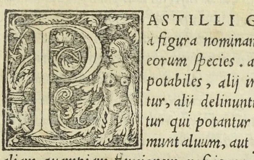 An illustration from Apparatus et delectus simplicium medicamentorum. De compositione medicamentorum secundum genera, ex Paulo Aegineta. De compositione medicamentorum secundum genera universalis methodus, ex Galeno. Omnia nunc primùm ædita, cùm medicis, tum pharmacopolis omnib. apprimè necessaria, auctore Conrado Gessnero Tigurino., 1542, leaf 138
