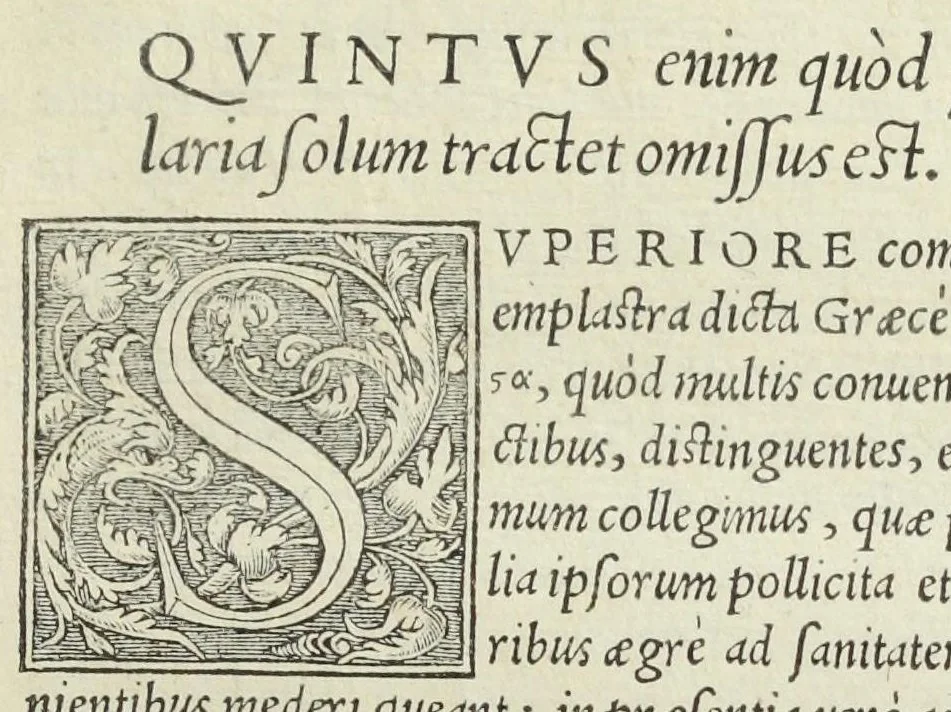 An illustration from Apparatus et delectus simplicium medicamentorum. De compositione medicamentorum secundum genera, ex Paulo Aegineta. De compositione medicamentorum secundum genera universalis methodus, ex Galeno. Omnia nunc primùm ædita, cùm medicis, tum pharmacopolis omnib. apprimè necessaria, auctore Conrado Gessnero Tigurino., 1542, leaf 276