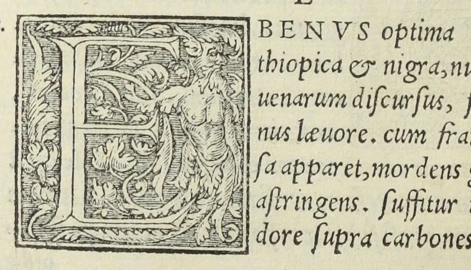 An illustration from Apparatus et delectus simplicium medicamentorum. De compositione medicamentorum secundum genera, ex Paulo Aegineta. De compositione medicamentorum secundum genera universalis methodus, ex Galeno. Omnia nunc primùm ædita, cùm medicis, tum pharmacopolis omnib. apprimè necessaria, auctore Conrado Gessnero Tigurino., 1542, leaf 67
