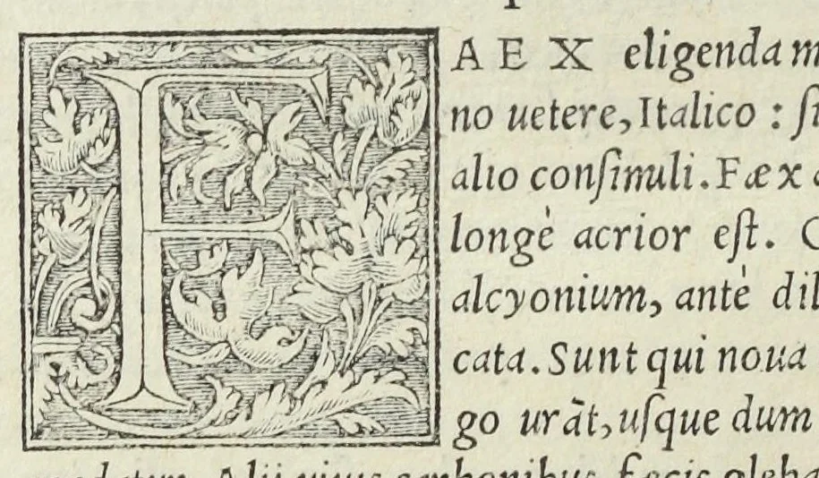 An illustration from Apparatus et delectus simplicium medicamentorum. De compositione medicamentorum secundum genera, ex Paulo Aegineta. De compositione medicamentorum secundum genera universalis methodus, ex Galeno. Omnia nunc primùm ædita, cùm medicis, tum pharmacopolis omnib. apprimè necessaria, auctore Conrado Gessnero Tigurino., 1542, leaf 71
