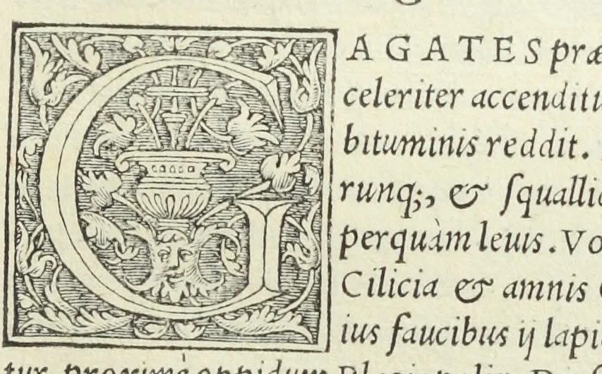 An illustration from Apparatus et delectus simplicium medicamentorum. De compositione medicamentorum secundum genera, ex Paulo Aegineta. De compositione medicamentorum secundum genera universalis methodus, ex Galeno. Omnia nunc primùm ædita, cùm medicis, tum pharmacopolis omnib. apprimè necessaria, auctore Conrado Gessnero Tigurino., 1542, leaf 74