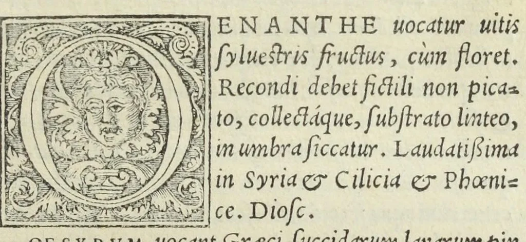 An illustration from Apparatus et delectus simplicium medicamentorum. De compositione medicamentorum secundum genera, ex Paulo Aegineta. De compositione medicamentorum secundum genera universalis methodus, ex Galeno. Omnia nunc primùm ædita, cùm medicis, tum pharmacopolis omnib. apprimè necessaria, auctore Conrado Gessnero Tigurino., 1542, leaf 94