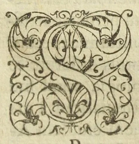 An illustration from De recta et vera ratione progignendi lapidis philosophici, seu salis argentifici & aurifici dilucida & compendiosa explicatio. Ad illustrissimum Principem dei gratia electorem sancti romani imperi, archiepiscopum coloniensem, episcopum leodiensem. Authore Gastone Claveo subpræside particulari Nivernensi., 1592, leaf 13