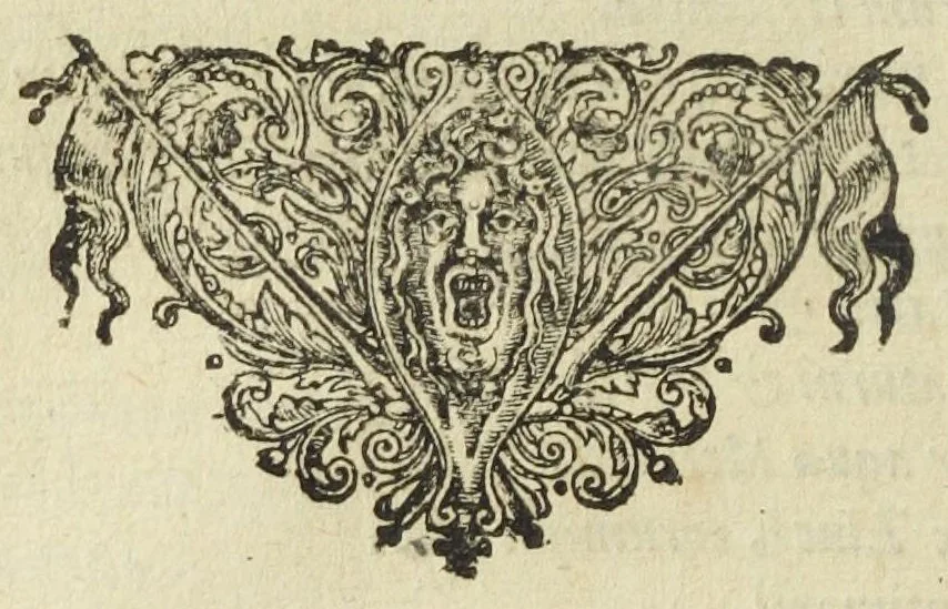 An illustration from Furni novi philosophici, sive Descriptio artis destillatoriæ novæ ; nec non Spirituum, oleorum, florum, aliorumque medicamentorum illius beneficio, facilimâ quâdam & peculiari viâ è vegetabilibus, animalibus & mineralibus, conficiendorum & quidem magno cum lucro ; agens quoque de illorum usu tàm chymico quàm medico,edita & publicata in gratiam veritatis studiosorum per Joannem Rudolphum Glauberum., 1651, leaf 74