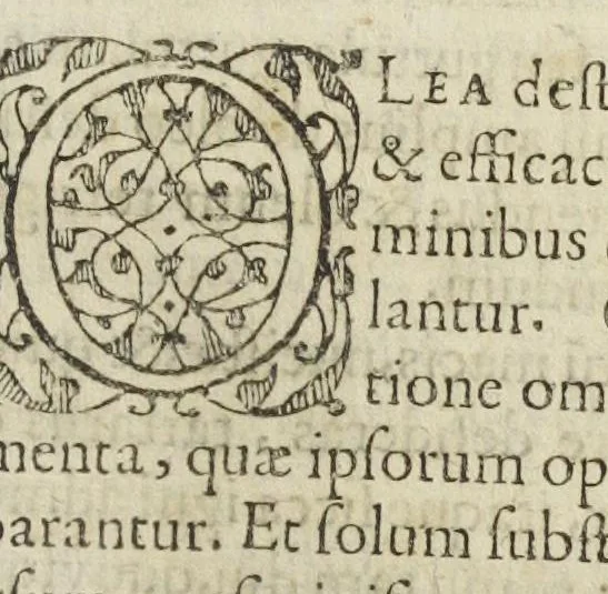 An illustration from Johannis Hartmanni medicinæ doctoris et quondam chymiatriæ in Academia Marpurgensi professoris celeberrimi, principumque Hassiæ archiatri Praxis chymiatrica edita à Johanne Michaelis, philosophiæ & medicinæ doctore, & professore ibidem extraordinario : & Georgio Everhardo Hartmanno autoris filio. Huic postremæ editioni adjecti sunt, propter affinitatem materiæ, tres tractatus novi. I. De oleis variis chymicè distillatis. II. Basilica antimonii Hameri Poppii Thallini. III. Marci Cornachini D.M. Methodus, qua omnes humani corporis affectiones ab humoribus copia, vel qualitate peccantibus, chymicè & galenicè curantur., 1635, leaf 399