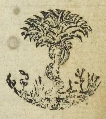 An illustration from De alchemia dialogi duo. Quorum prior, genuinam librorum Gebri sententiam, de industria ab autore celatam, & figurato sermone involutam retegit, & certis argumentis probat. Alter, Raimundi Lullij Majoricani, mysteria in lucem producit. Quibus præmittuntur, 1548, leaf 5
