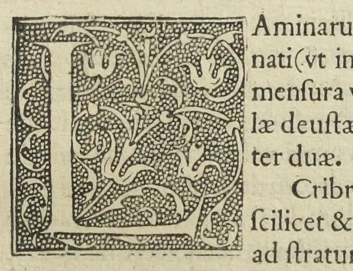 An illustration from Ars et theoria transmutationis metallicæ cum Voarchadúmia, proportionibus, numeris, & iconibus rei accommodis illustrata. Joanne Augustino Pantheo Veneto authore., 1550, leaf 100