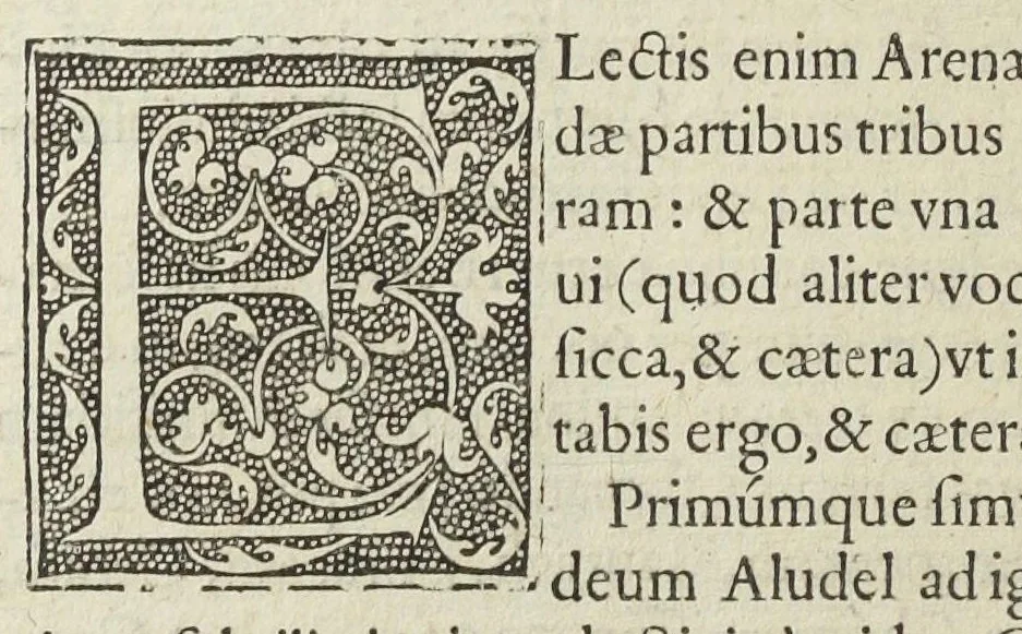 An illustration from Ars et theoria transmutationis metallicæ cum Voarchadúmia, proportionibus, numeris, & iconibus rei accommodis illustrata. Joanne Augustino Pantheo Veneto authore., 1550, leaf 107