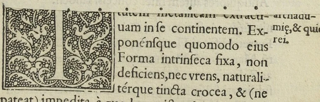 An illustration from Ars et theoria transmutationis metallicæ cum Voarchadúmia, proportionibus, numeris, & iconibus rei accommodis illustrata. Joanne Augustino Pantheo Veneto authore., 1550, leaf 96