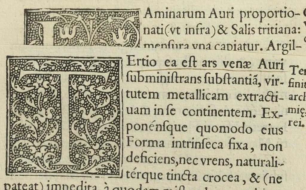 An illustration from Ars et theoria transmutationis metallicæ cum Voarchadúmia, proportionibus, numeris, & iconibus rei accommodis illustrata. Joanne Augustino Pantheo Veneto authore., 1550, leaf 98