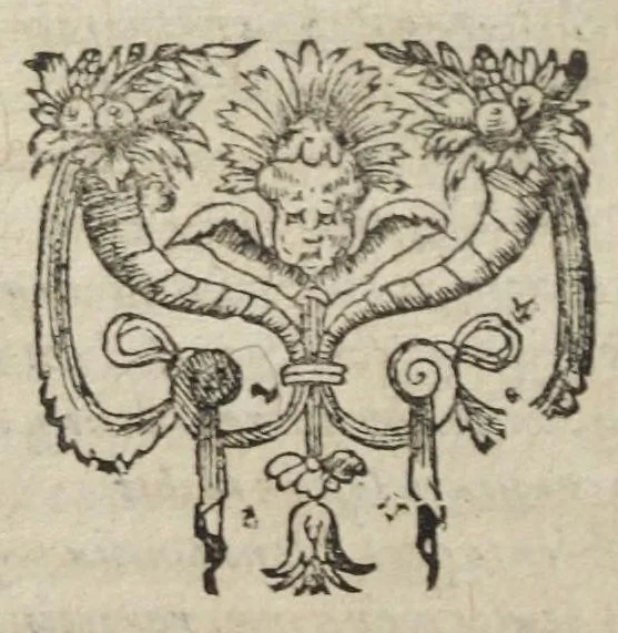 An illustration from Theatrum chemicum, præcipuos selectorum auctorum tractatus de chemiæ et lapidis philosophici antiquitate, veritate, jure, præstantia, & operationibus continens : in gratiam verae chemiae, et medicinæ chemicæ studiosorum (ut qui uberrimam inde optimorum remediorum messem facere potuerunt) congestum, & in tres partes seu volumina digestum ; singulis voluminibus, suo auctorum et librorum catalogo primis pagellis : rerum vero & verborum indice postremis annexo. Volumen secundum, 1602, leaf 366