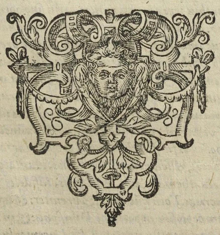 An illustration from Theatrum chemicum, præcipuos selectorum auctorum tractatus de chemiæ et lapidis philosophici antiquitate, veritate, jure, præstantia, & operationibus continens : in gratiam verae chemiae, et medicinæ chemicæ studiosorum (ut qui uberrimam inde optimorum remediorum messem facere potuerunt) congestum, & in tres partes seu volumina digestum ; singulis voluminibus, suo auctorum et librorum catalogo primis pagellis : rerum vero & verborum indice postremis annexo. Volumen secundum, 1602, leaf 537